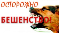 Об установлении ограничительных мероприятий по бешенству на территории села Барабановское Каменского городского округа